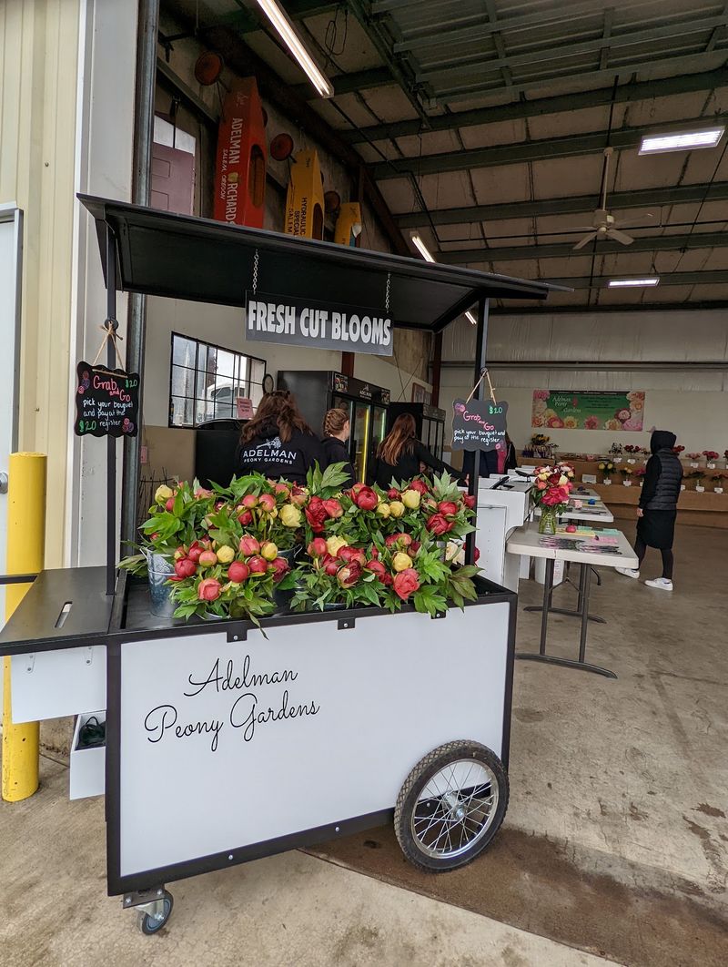 Taking the Magic Home: Cut Flowers and Potted Plants Taking the Magic Home: Cut Flowers and Potted Plants