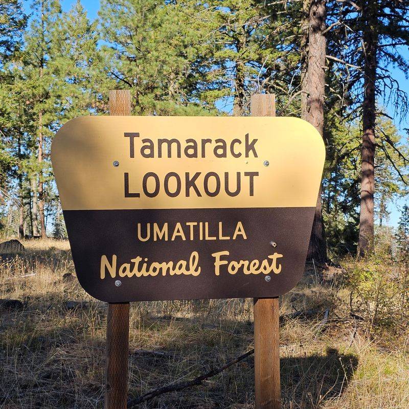 Tamarack Lookout - Near Kimberly