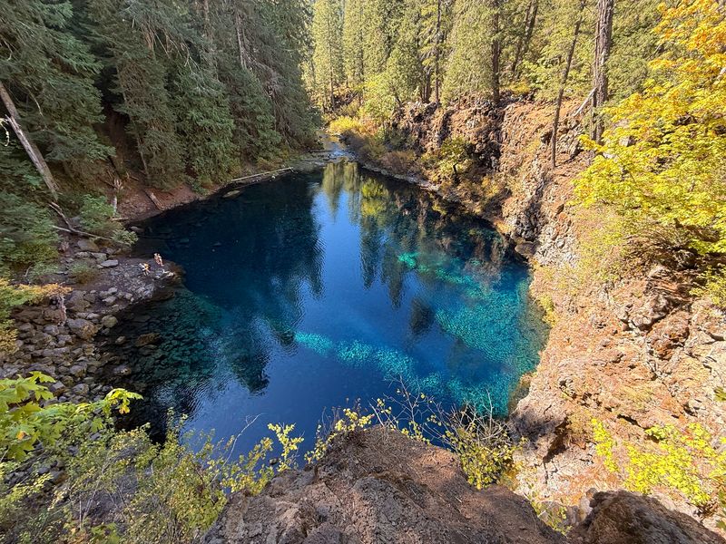 Tamolitch Blue Pool - McKenzie River Tamolitch Blue Pool - McKenzie River
