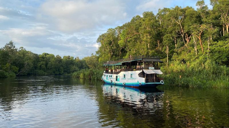 Tanjung Puting National Park, Kumai, Central Kalimantan, Indonesia Tanjung Puting National Park, Kumai, Central Kalimantan, Indonesia