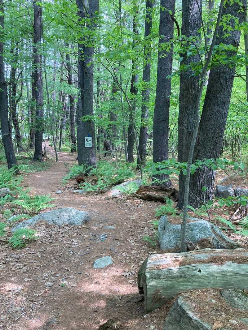 Ten Miles of Trails Through the Woods Ten Miles of Trails Through the Woods