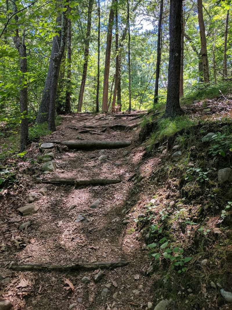Terrain for Every Ability Terrain for Every Ability