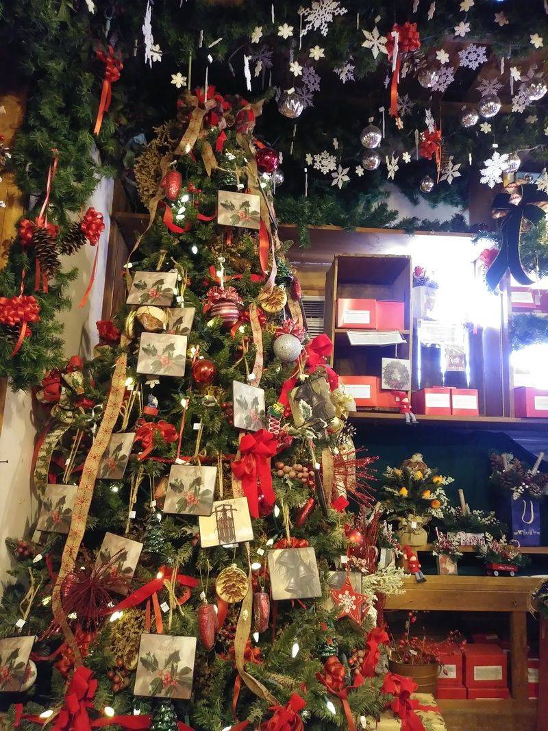 That North Pole Feeling Year-Round That North Pole Feeling Year-Round
