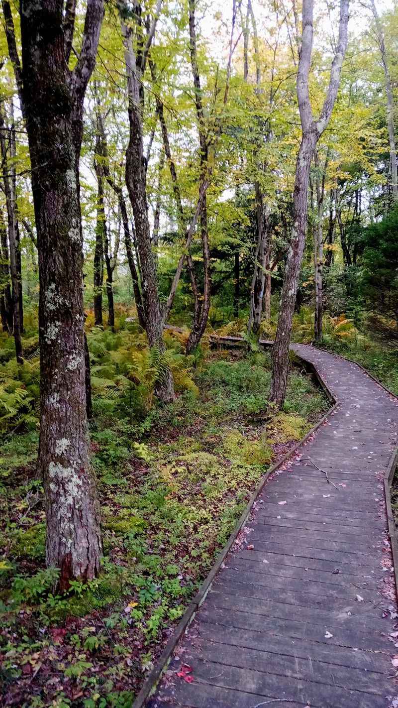 The 2.2-Mile Trail and Boardwalk System Worth Every Step