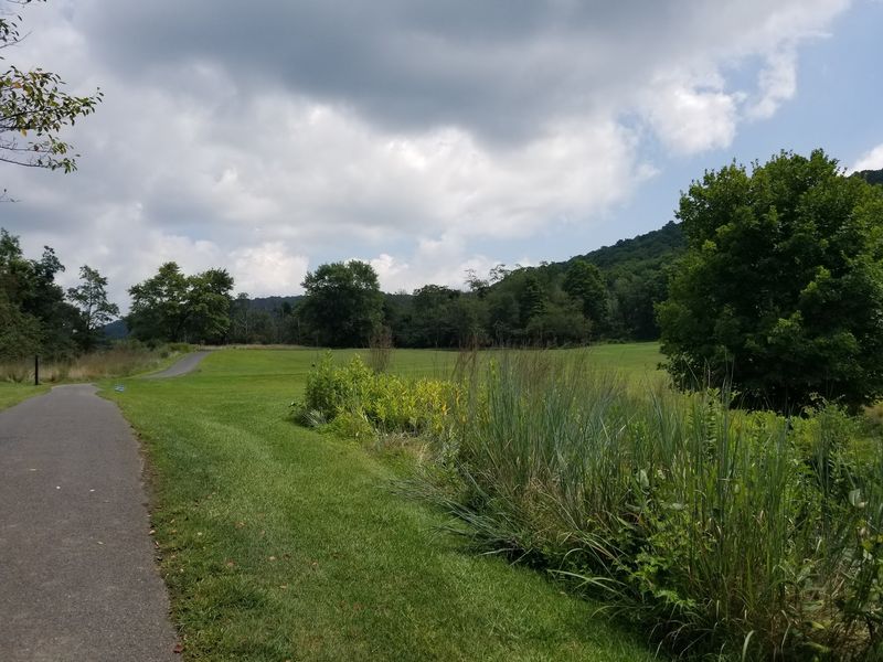 The 5.3-Mile Loop: What the Trail Actually Looks Like