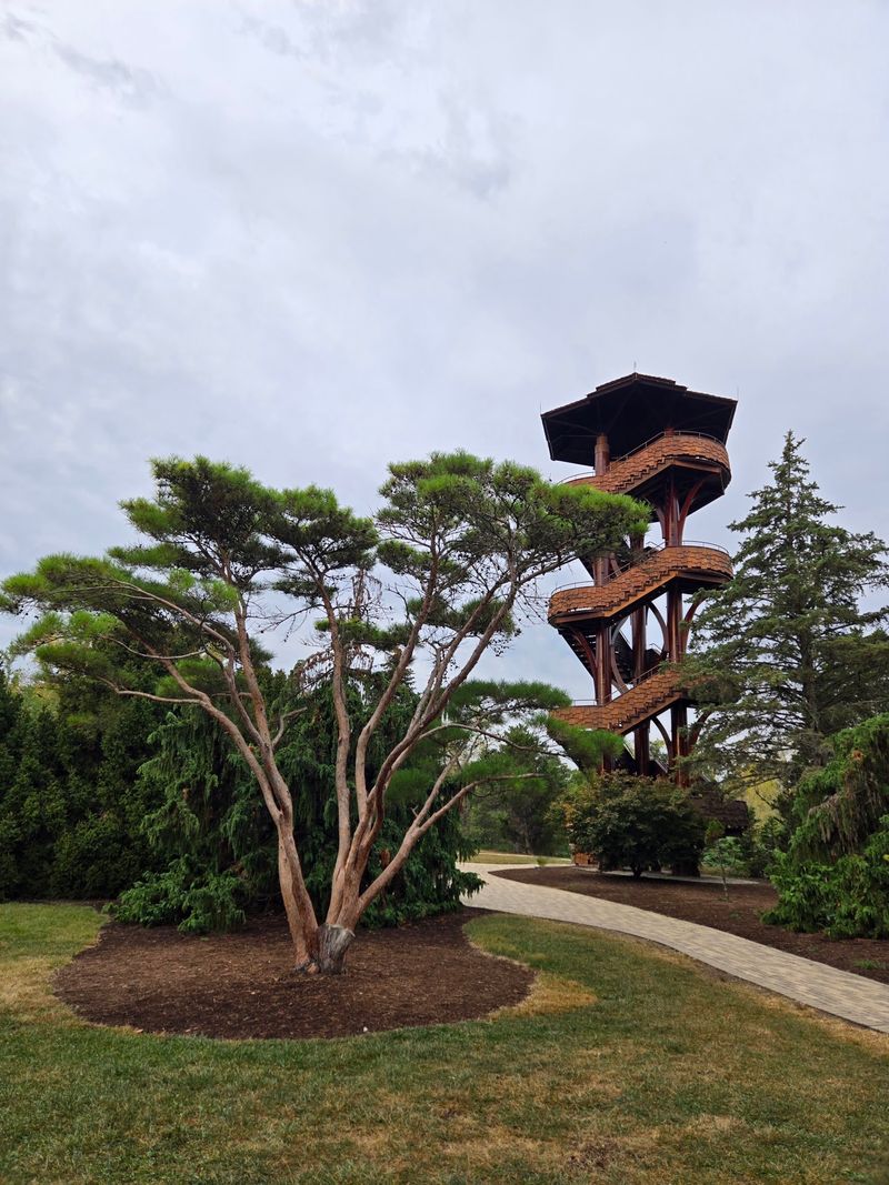The 65-Foot Tree Tower