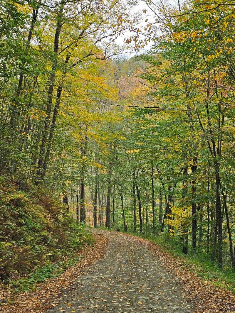 The 85-Mile Susquehannock Trail System and What It Actually Takes to Hike It The 85-Mile Susquehannock Trail System and What It Actually Takes to Hike It