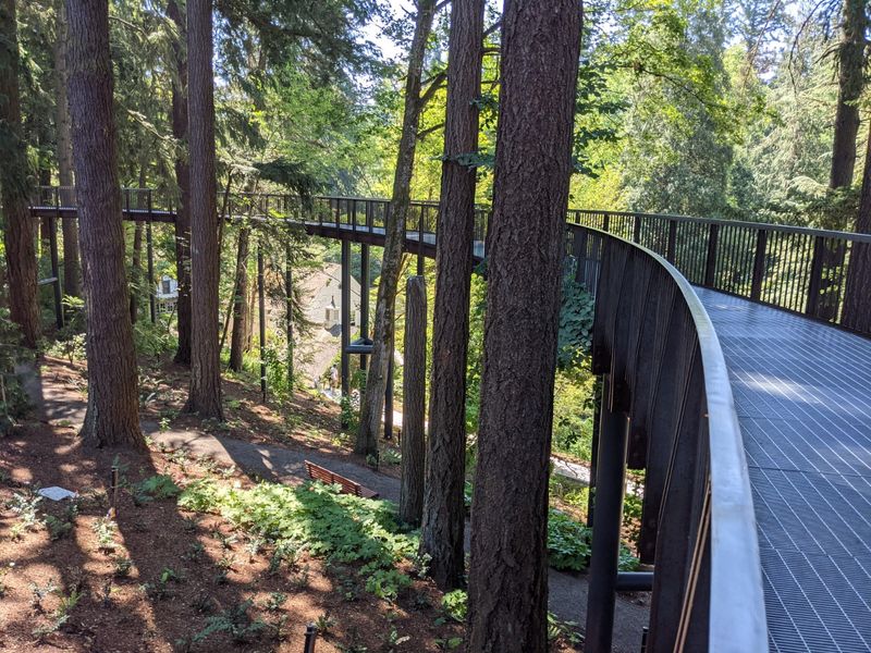 The Aerial Tree Walk: A Totally Different View of the Forest The Aerial Tree Walk: A Totally Different View of the Forest