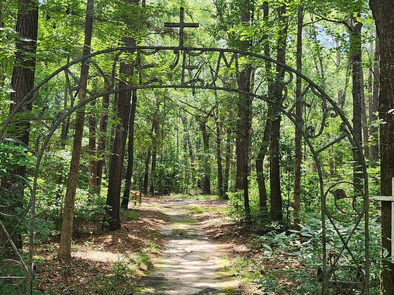 The African American Cemetery and the Harder Truths of the Site