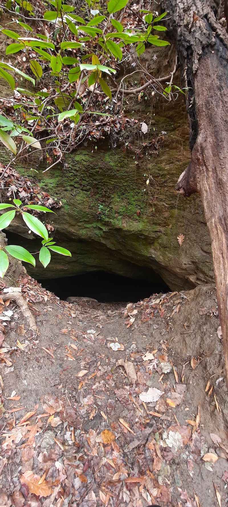 The Air Shaft Above the Main Tunnel The Air Shaft Above the Main Tunnel