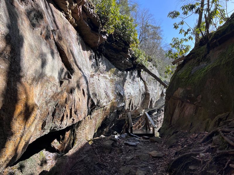 The Alum Cave Trail: Two Point Seven Miles of Changing Scenery The Alum Cave Trail: Two Point Seven Miles of Changing Scenery