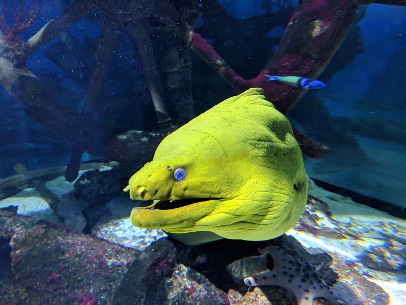 The Amazon Basin Exhibit: A Temporary Surprise Worth Catching The Amazon Basin Exhibit: A Temporary Surprise Worth Catching