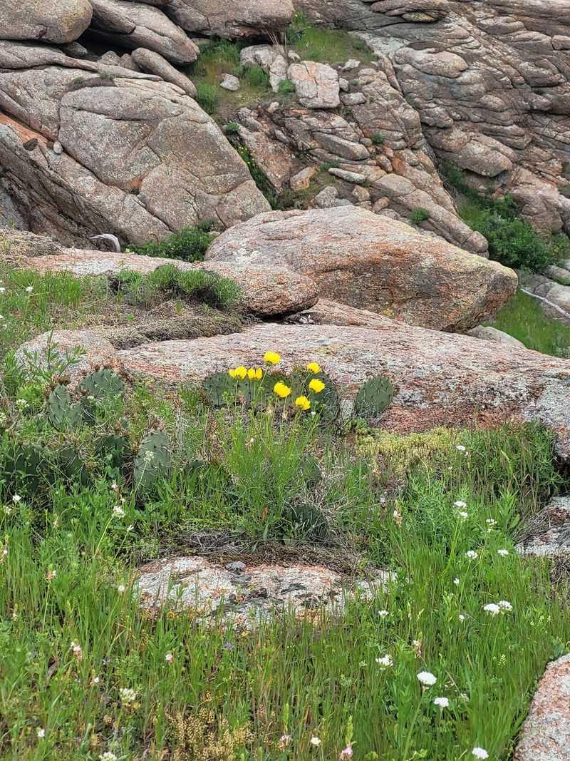 The Ancient Granite Mountains The Ancient Granite Mountains