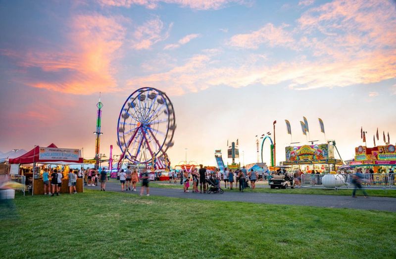 The Annual Deschutes County Fair Experience