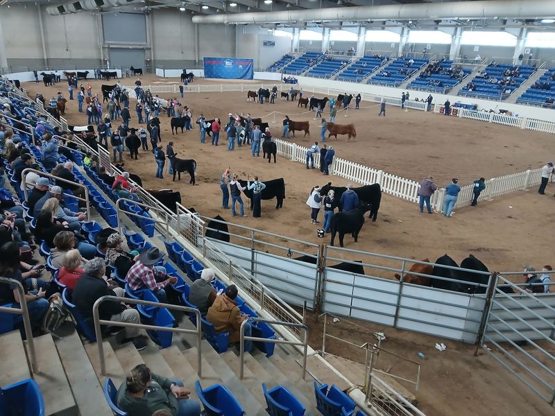 The Annual Pennsylvania Farm Show: A January Tradition Like No Other