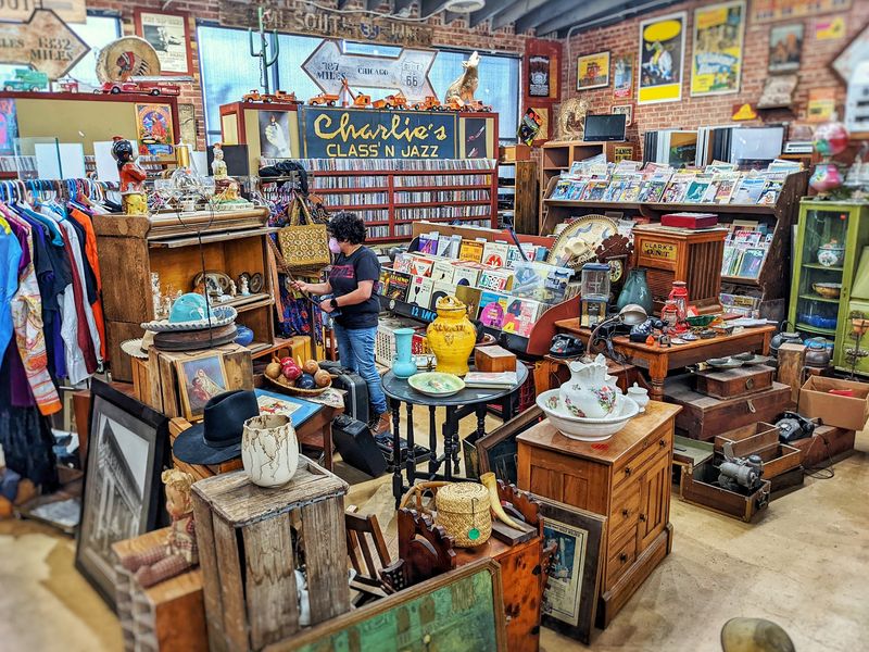 The Antique Shop Next Door