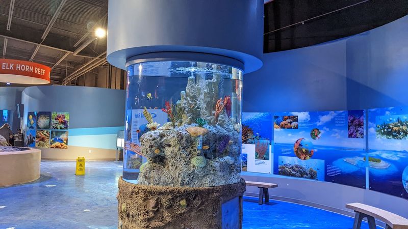 The Aquarium Adventure Passport and Interactive Activities The Aquarium Adventure Passport and Interactive Activities