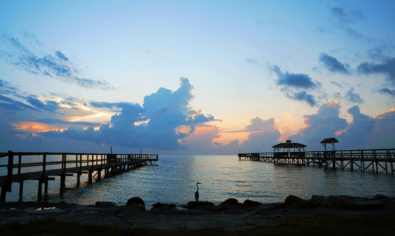 The Aransas Bay Shoreline on Foot