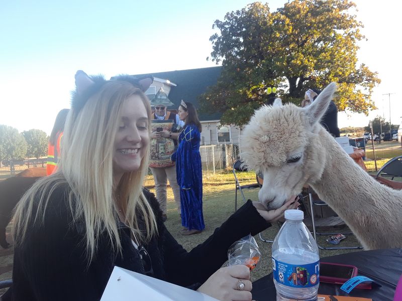 The Art of the Alpaca Gram