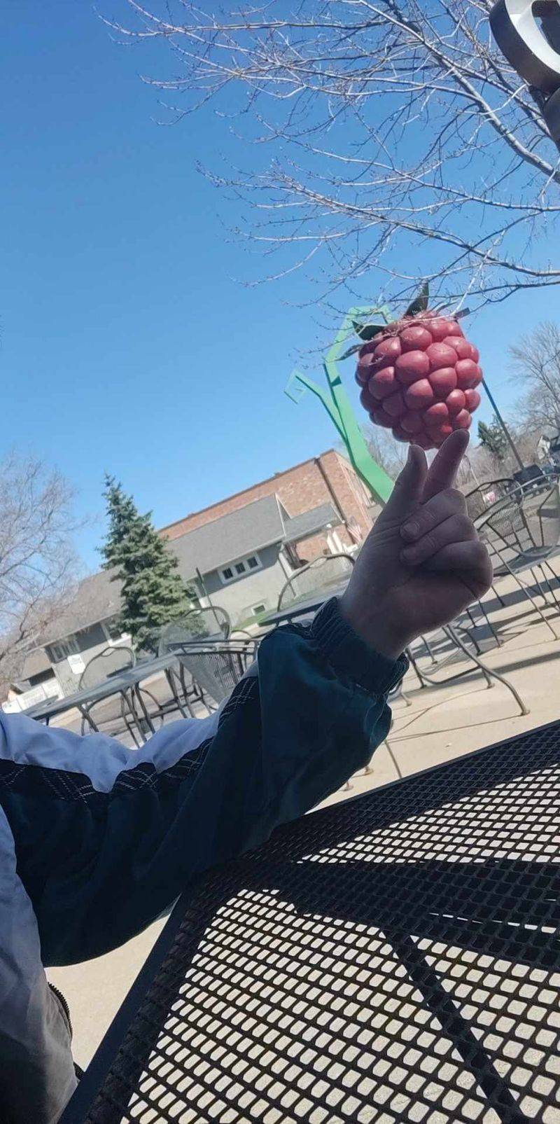 The Artist Behind the Giant Berry