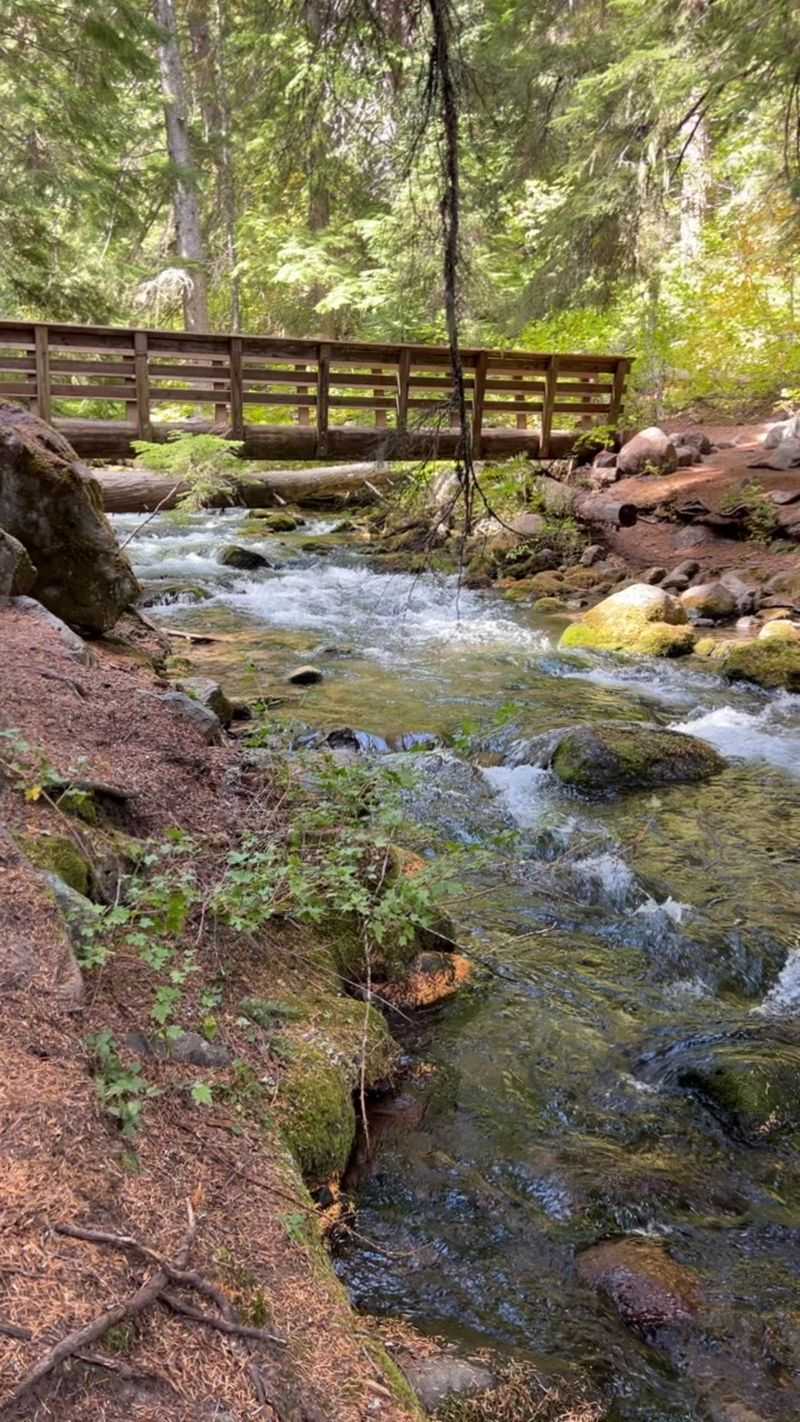 The Atmosphere on the Trail: Sounds, Smells, and Small Surprises The Atmosphere on the Trail: Sounds, Smells, and Small Surprises