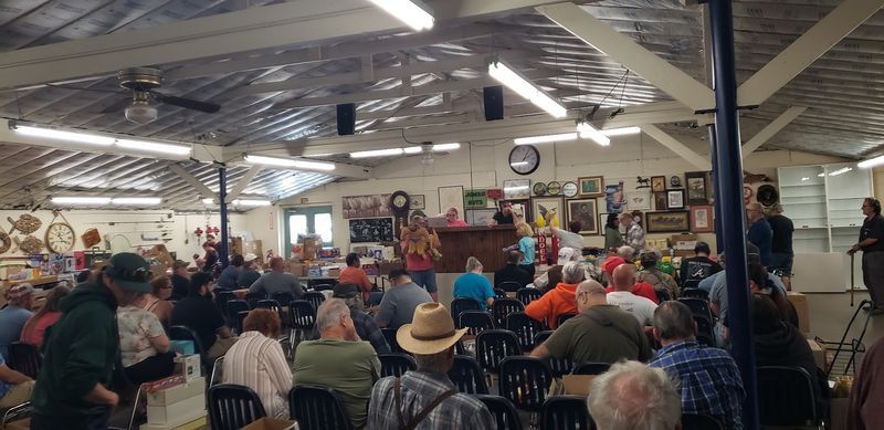 The Auction Floor: Where Bidding Becomes a Sport The Auction Floor: Where Bidding Becomes a Sport