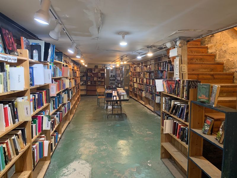 The Basement: A Reader's Best-Kept Secret The Basement: A Reader's Best-Kept Secret