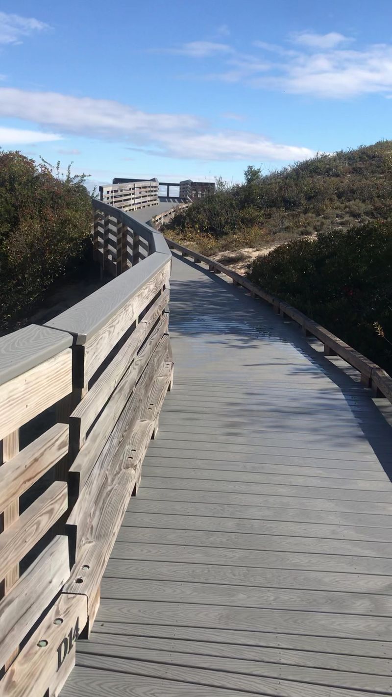 The Beach Access You Might Miss The Beach Access You Might Miss