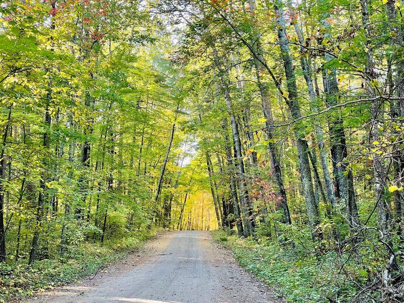 The Best Seasons to Visit and What Each One Offers The Best Seasons to Visit and What Each One Offers