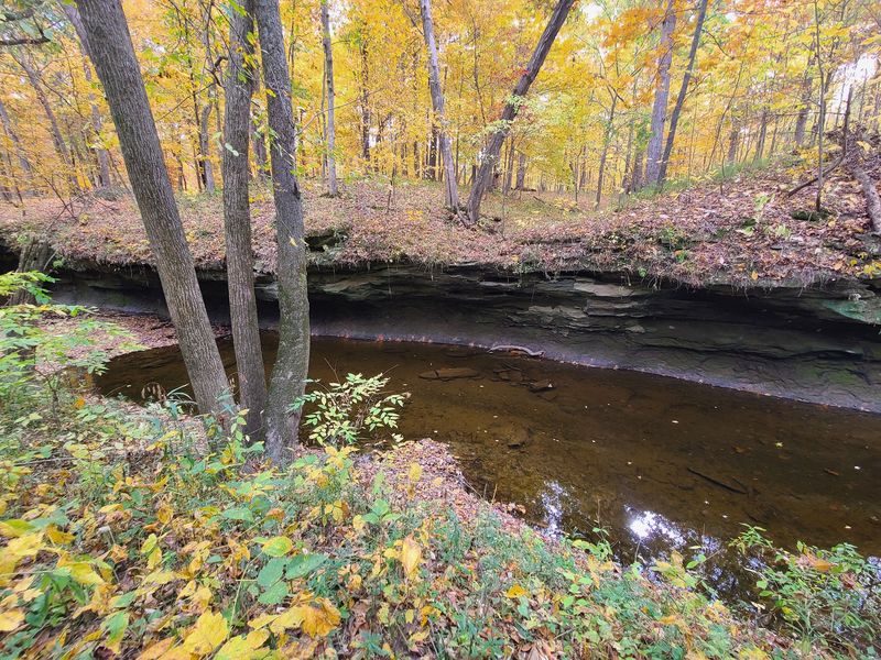 The Best Time of Year to Visit and What to Expect The Best Time of Year to Visit and What to Expect