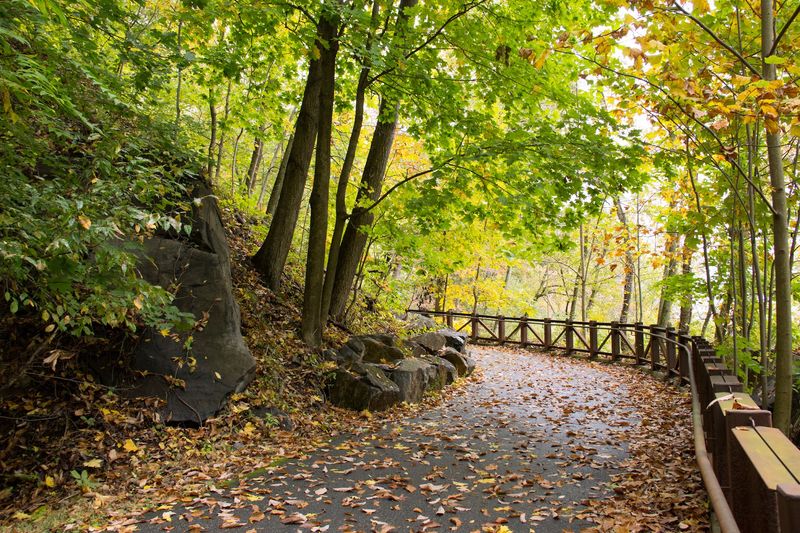 The Bigger Picture: Exploring Alapocas Run State Park The Bigger Picture: Exploring Alapocas Run State Park