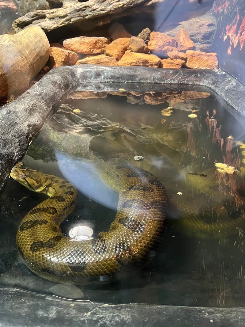 The Bird and Reptile Exhibits Worth Seeking Out The Bird and Reptile Exhibits Worth Seeking Out