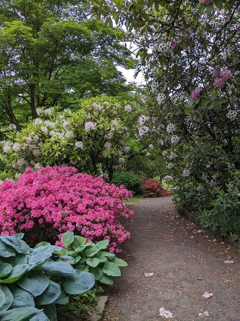 The Blooms That Make Jaws Drop The Blooms That Make Jaws Drop