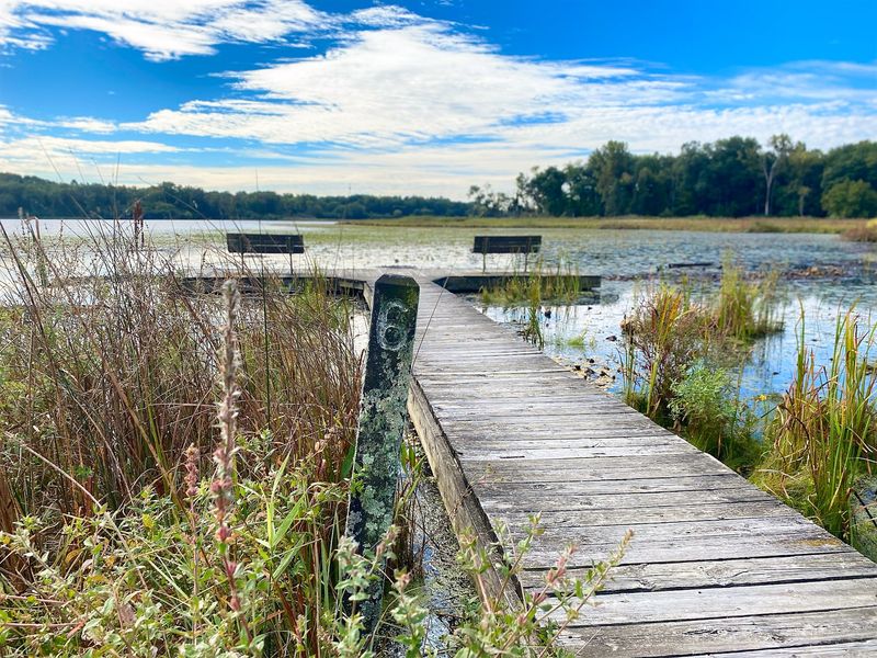 The Boardwalk: A Walk Above the Wetlands The Boardwalk: A Walk Above the Wetlands