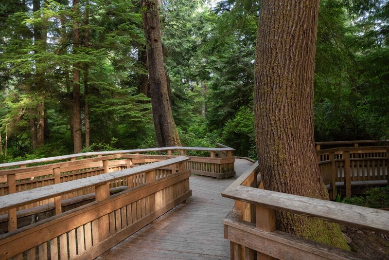 The Boardwalk That Makes It All Possible The Boardwalk That Makes It All Possible