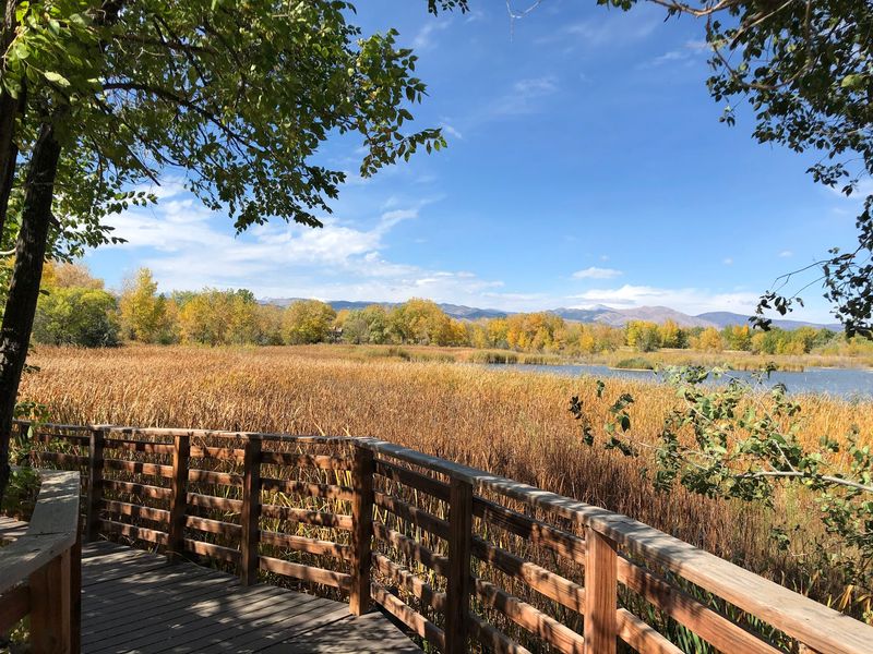 The Boardwalk That Puts You Right in the Middle of the Marsh
