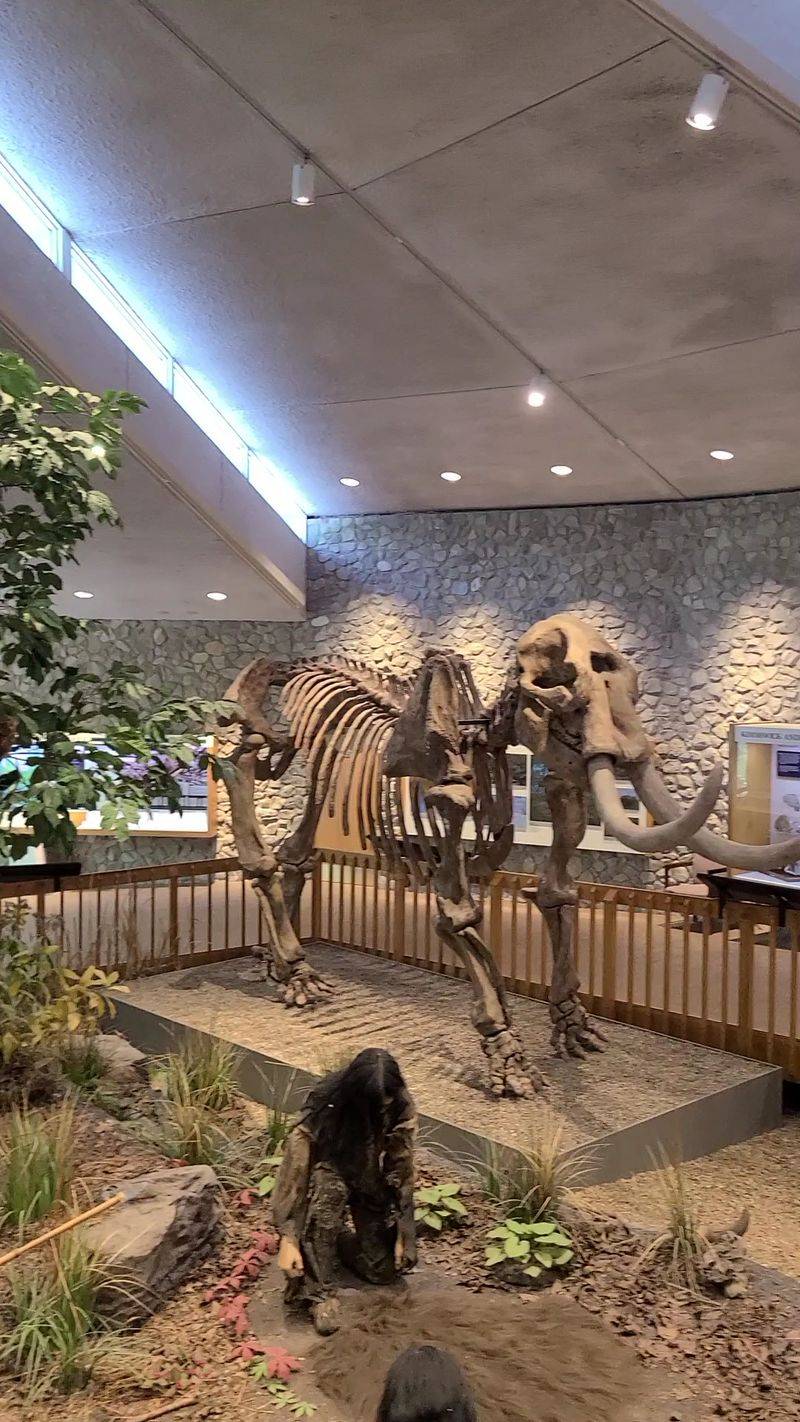 The Bone Bed That Rewrote Prehistoric History