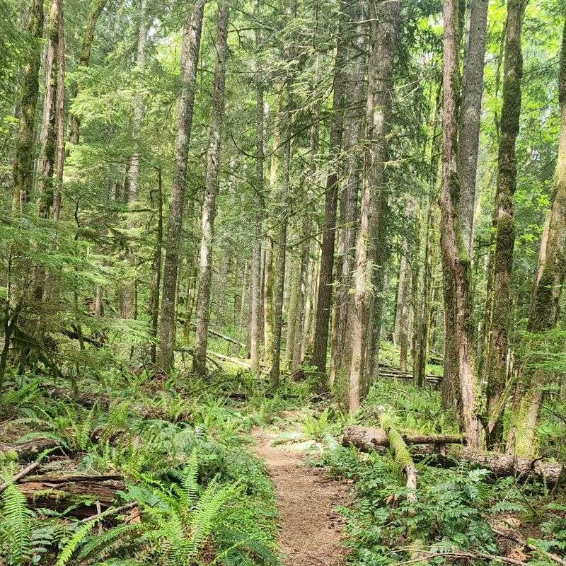 The Boulder Ridge Trail for More Serious Hikers The Boulder Ridge Trail for More Serious Hikers