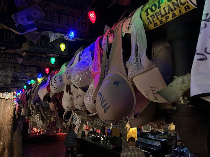 The Bras Hanging From The Branches And Rafters The Bras Hanging From The Branches And Rafters