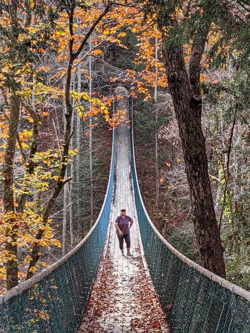 The Bridge That Dangles Above the Valley The Bridge That Dangles Above the Valley