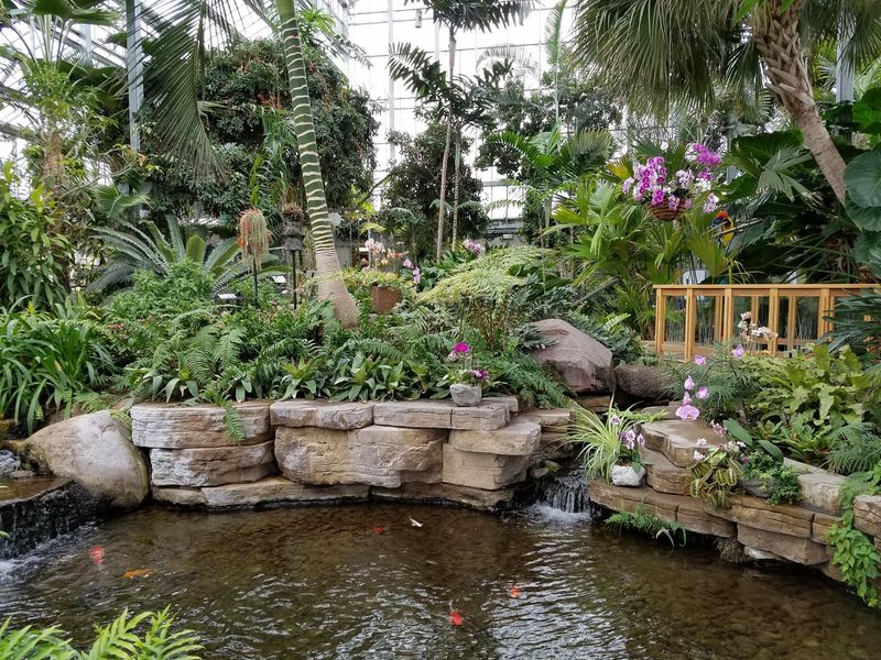 The Butterfly Exhibit That Everyone Talks About The Butterfly Exhibit That Everyone Talks About