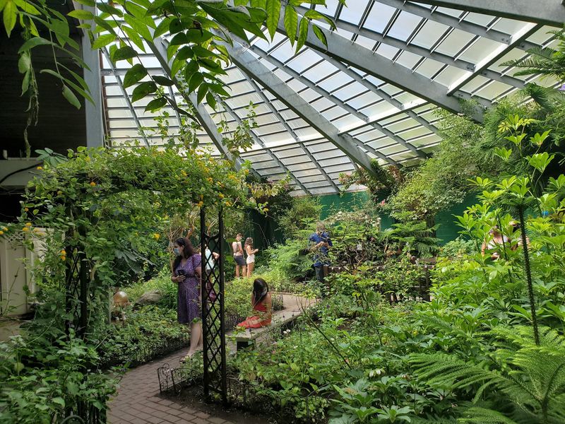 The Butterfly Place, Westford, MA