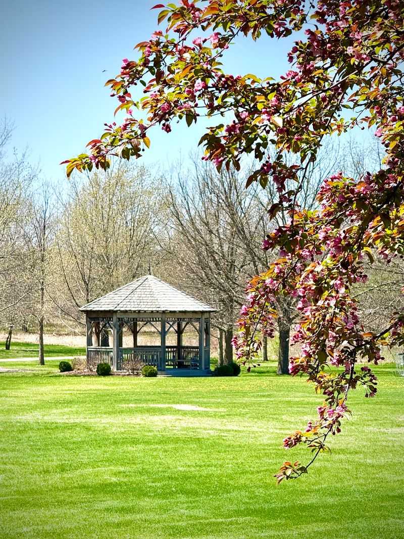 The Campus Landscape Through the Seasons