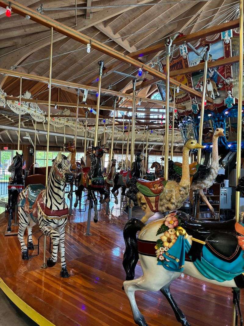 The Carousel Itself: Animals, Artistry, and Motion The Carousel Itself: Animals, Artistry, and Motion