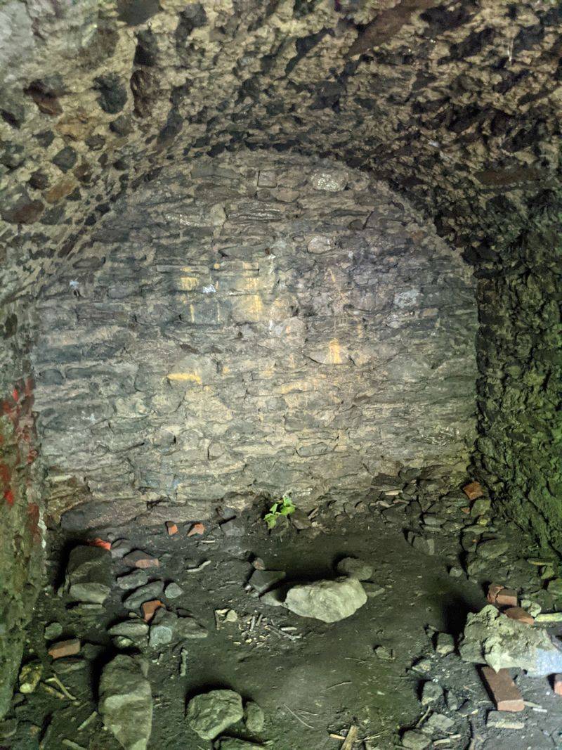 The Cave Itself: Smaller Than You Expect, Bigger Than You Think The Cave Itself: Smaller Than You Expect, Bigger Than You Think