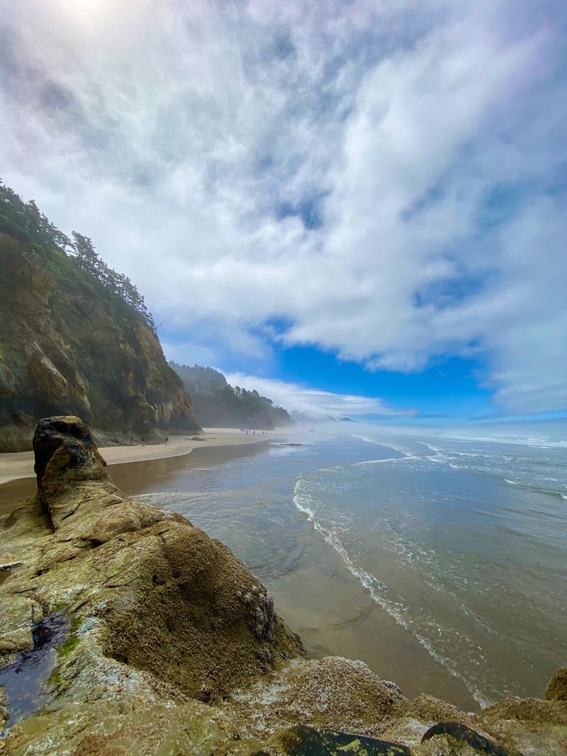 The Coastal Setting: What Makes This Stretch of Oregon Special