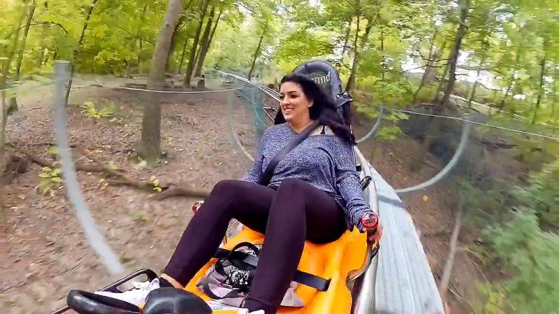 The Coaster Itself: What the Ride Actually Feels Like The Coaster Itself: What the Ride Actually Feels Like