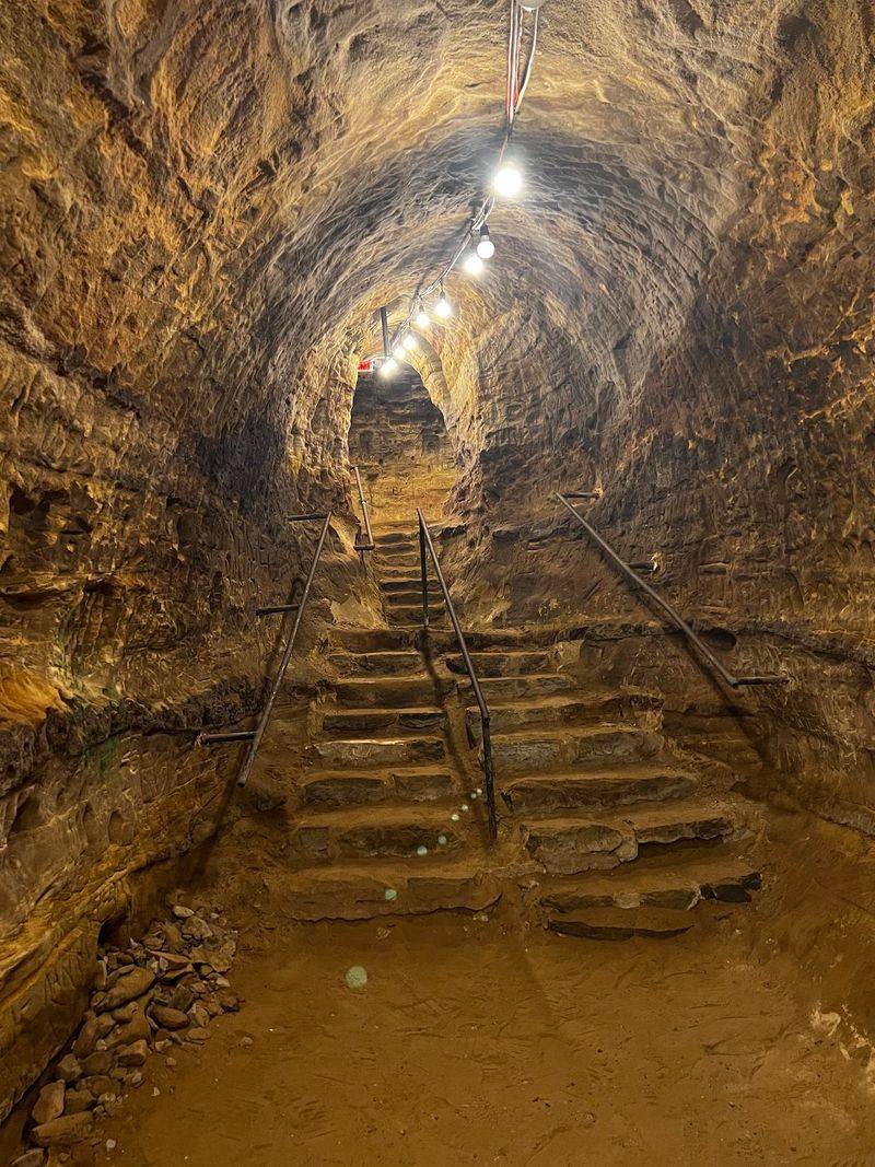 The Comeback Story: How the Cave Found Its Voice Again The Comeback Story: How the Cave Found Its Voice Again