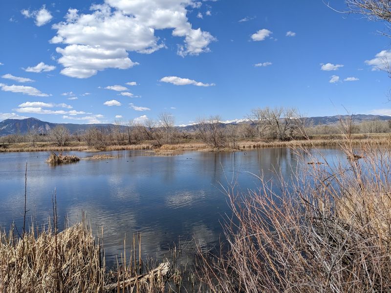 The Connection to Sawhill Ponds and a Larger Natural Landscape