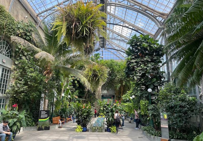 The Conservatory: A Glass World of Biomes